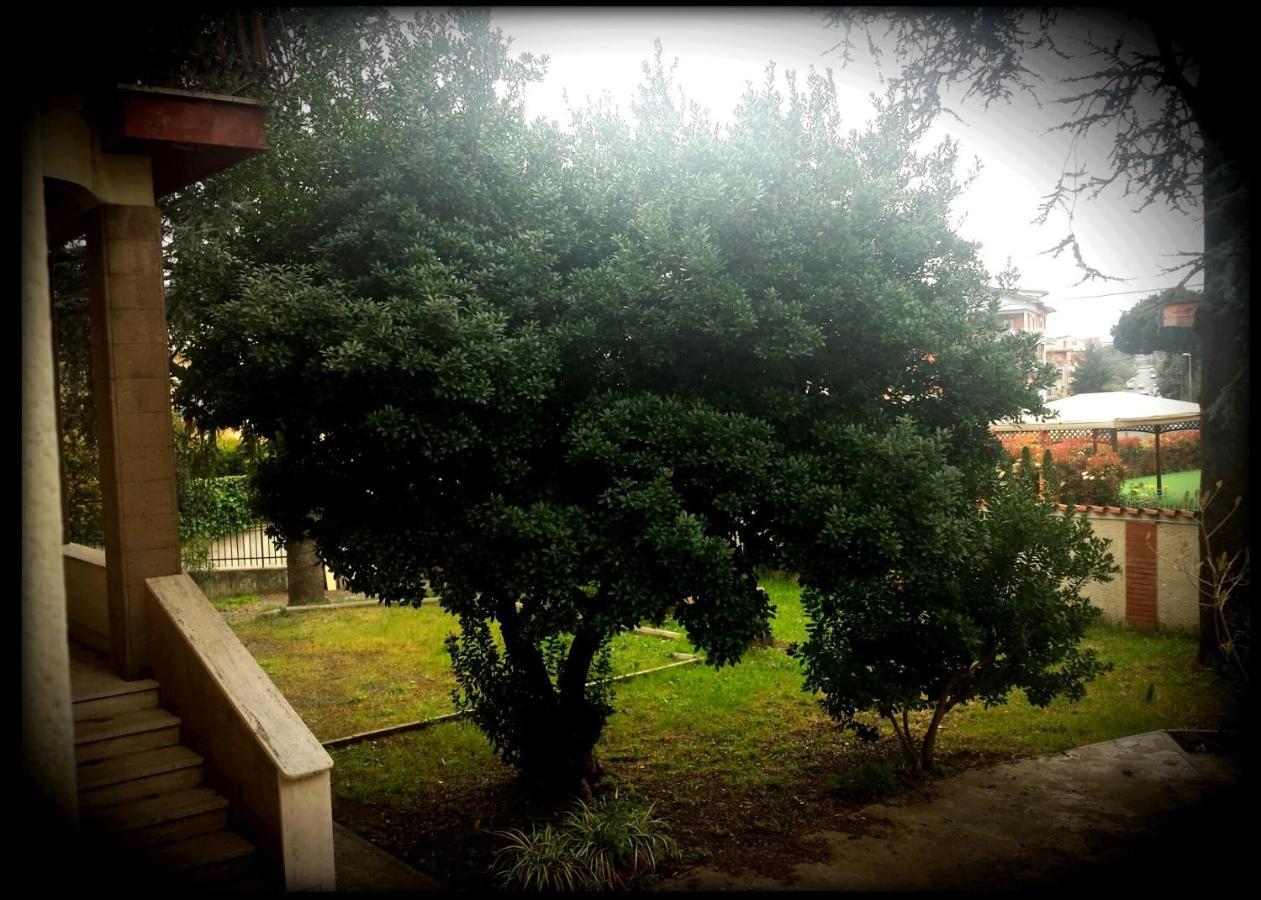 La Casa Degli Oleandri Hotel Rome Luaran gambar